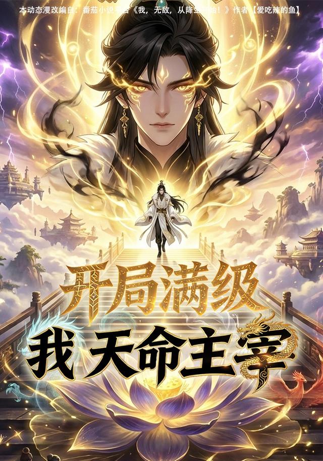 开局满级：我，天命主宰封面图