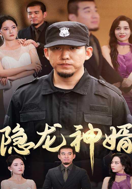 隐龙神婿封面图