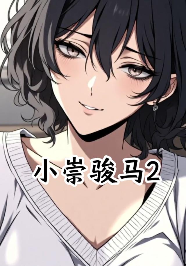小崇骏马2封面图