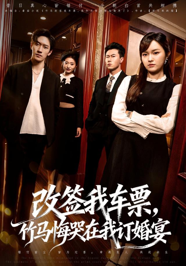 改签我车票，竹马悔哭在我订婚宴