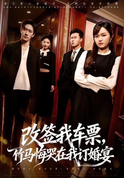 改签我车票竹马悔哭在我订婚宴封面图
