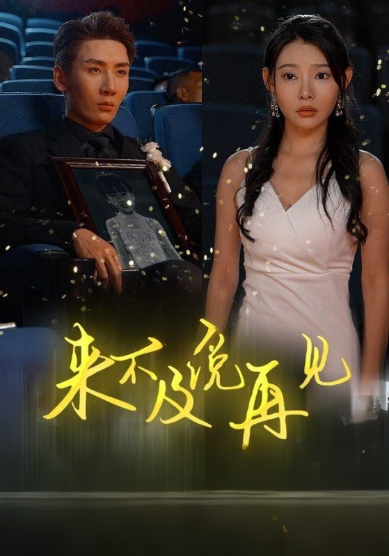 来不及说再见封面图