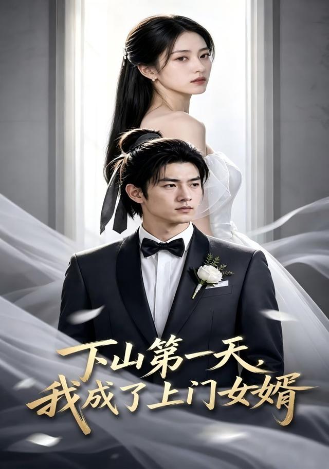 下山第一天，我成了上门女婿 cover