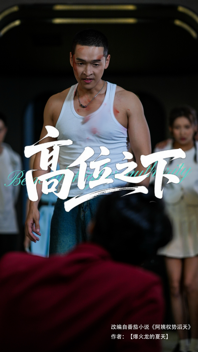 高位之下封面图