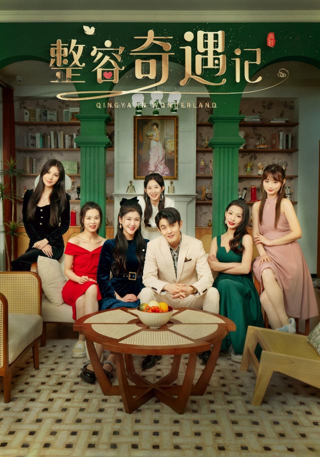 整容奇遇记封面图