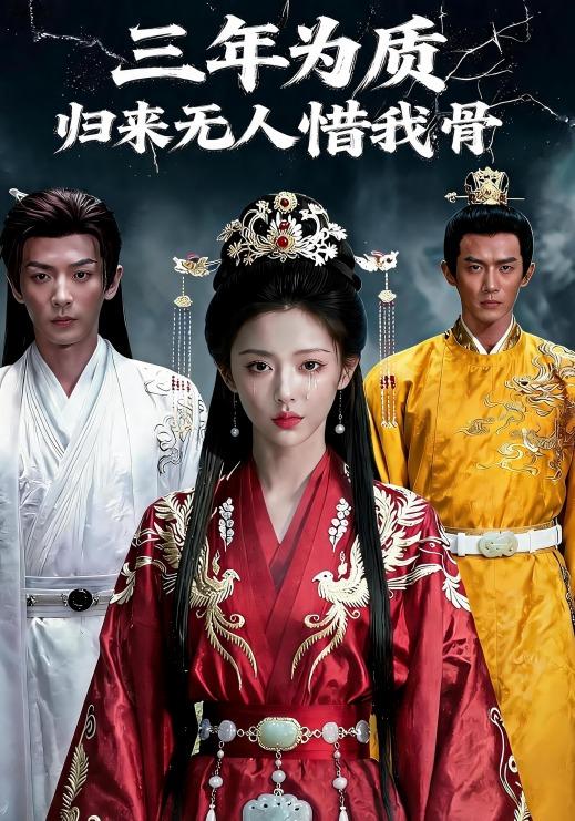 三年为质，归来无人惜我骨