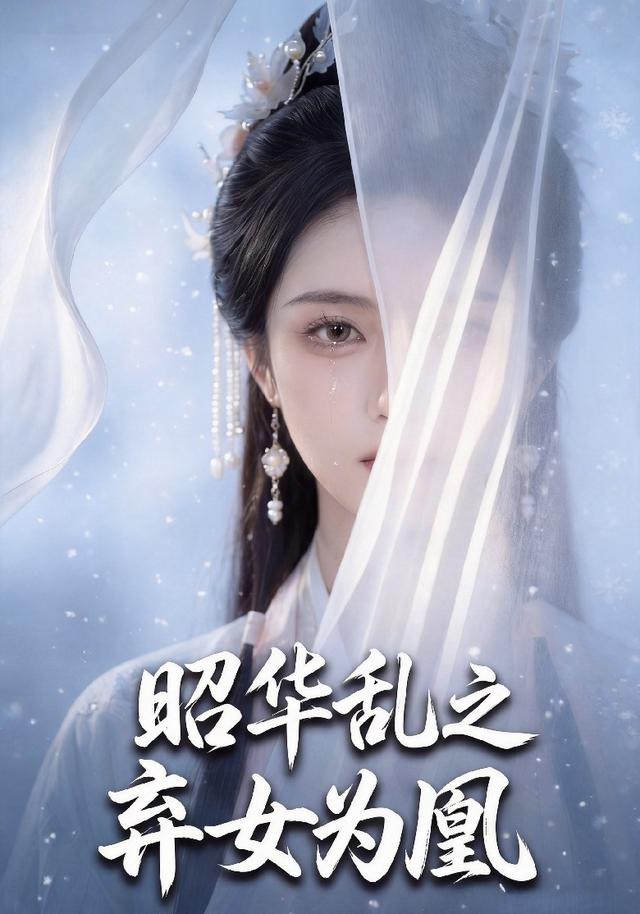 昭华乱之弃女为凰