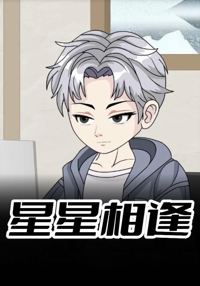 星星相逢封面图