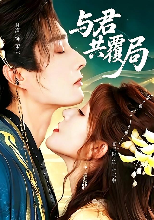 与君共覆局 cover