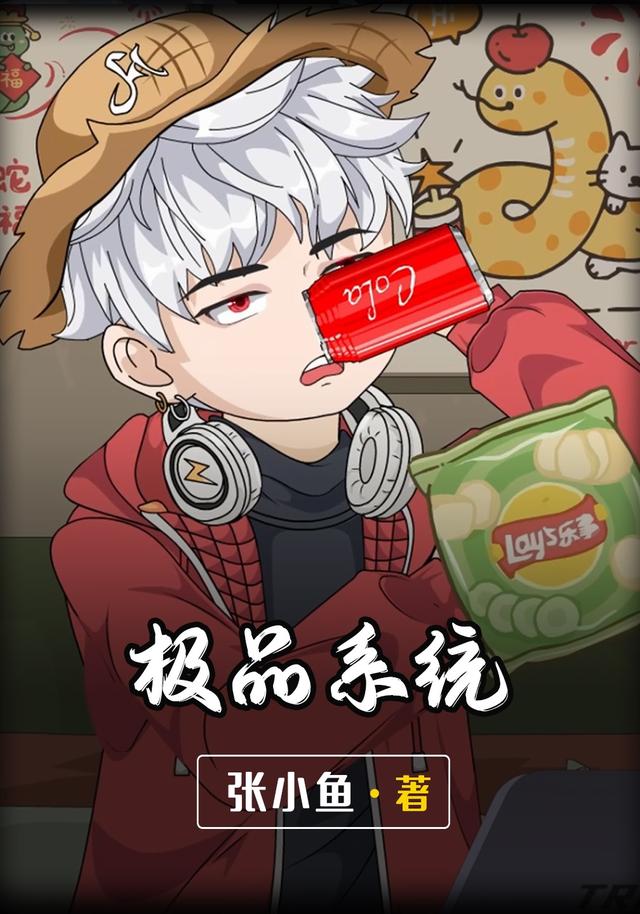 极品系统封面图