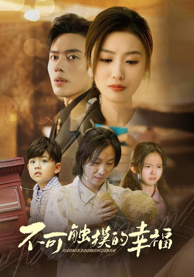 不可触摸的幸福封面图