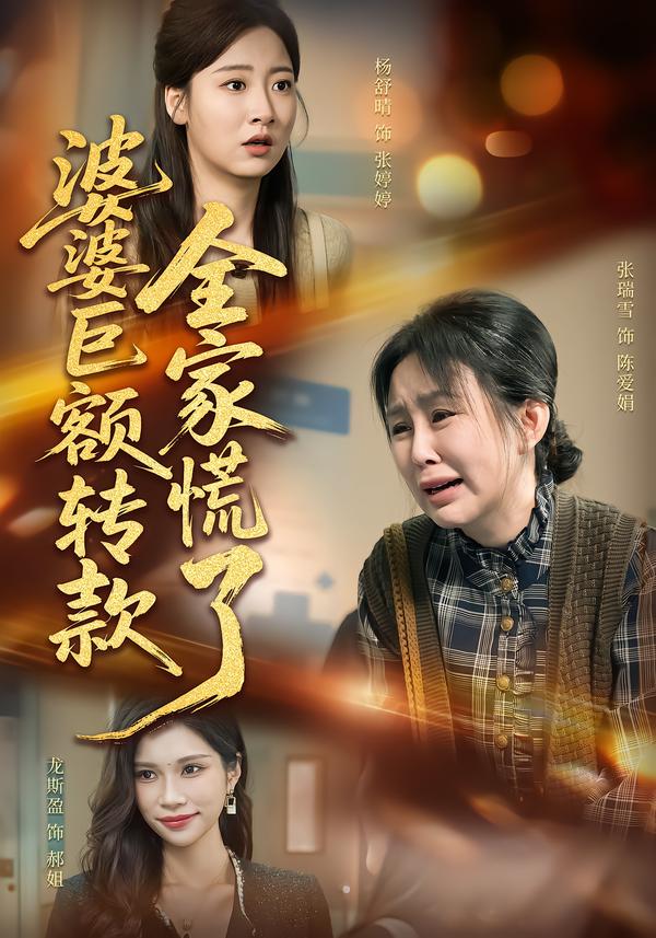 婆婆巨额转款全家慌了