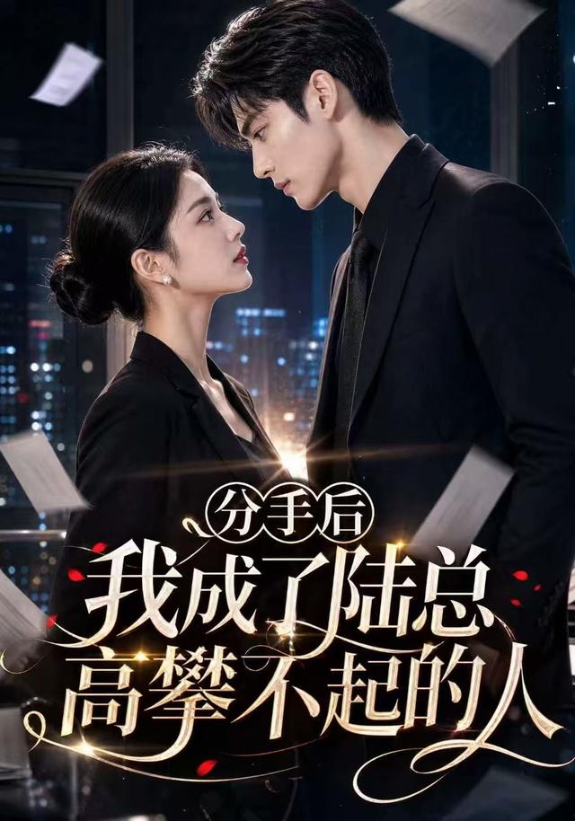 分手后我成了陆总高攀不起的人 cover
