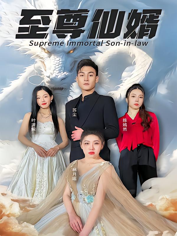 至尊仙婿