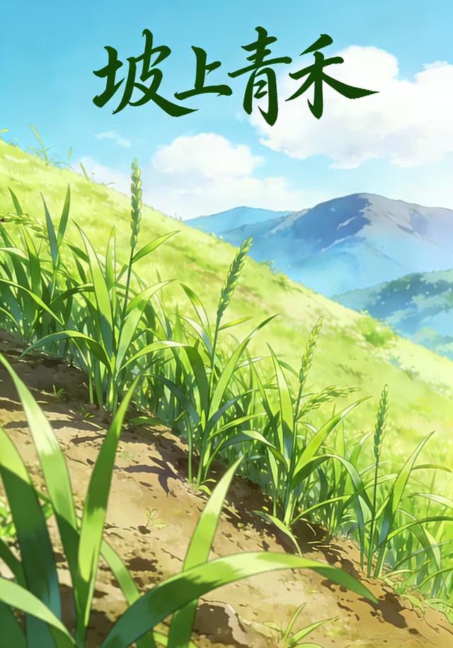 坡上青禾