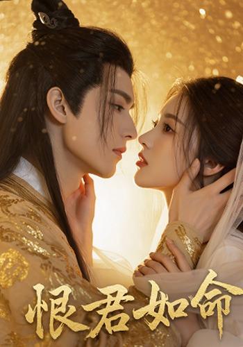 恨君如命封面图