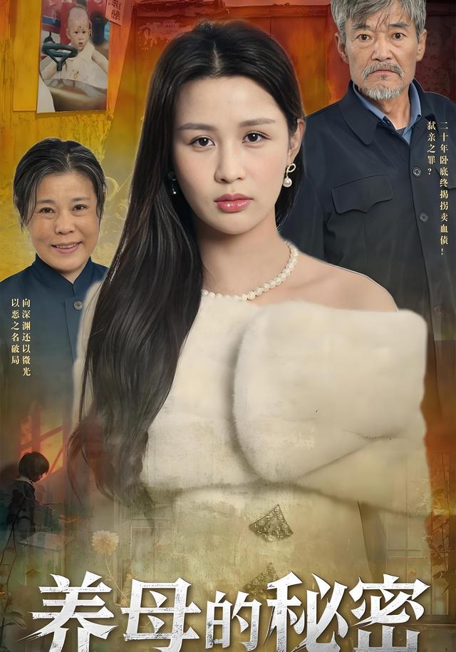 养母的秘密封面图
