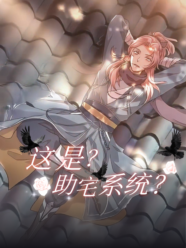 这是？助宅系统？