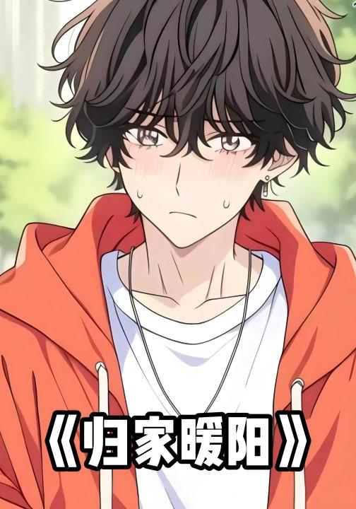 归家暖阳封面图