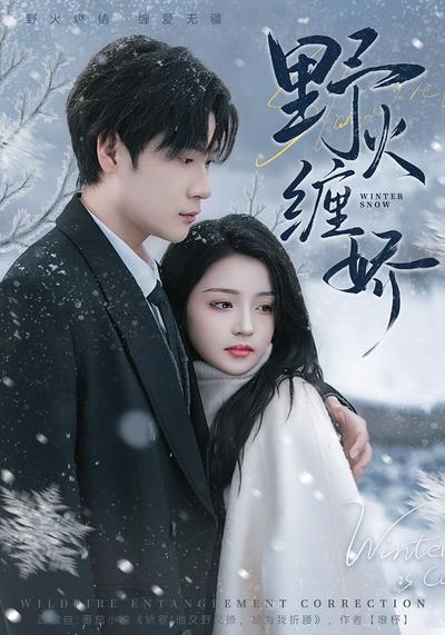 野火缠娇封面图