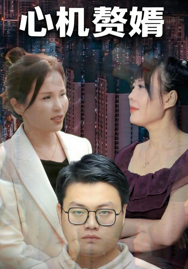 心机赘婿封面图