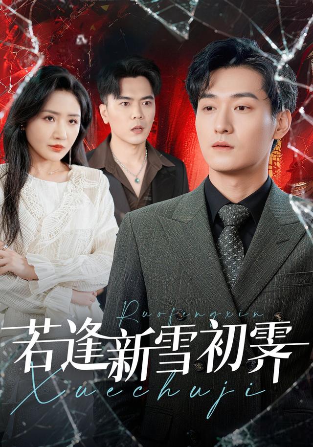 若逢新雪初霁封面图