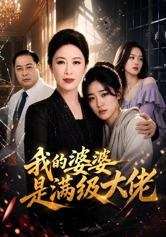我的婆婆是满级大佬 cover
