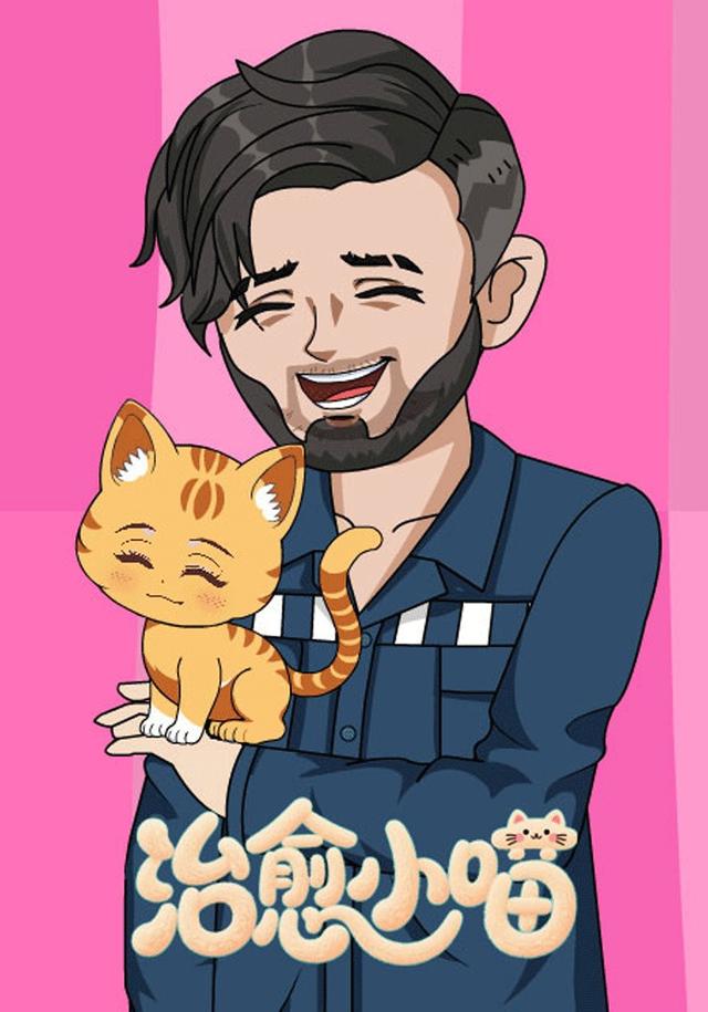 治愈小喵封面图