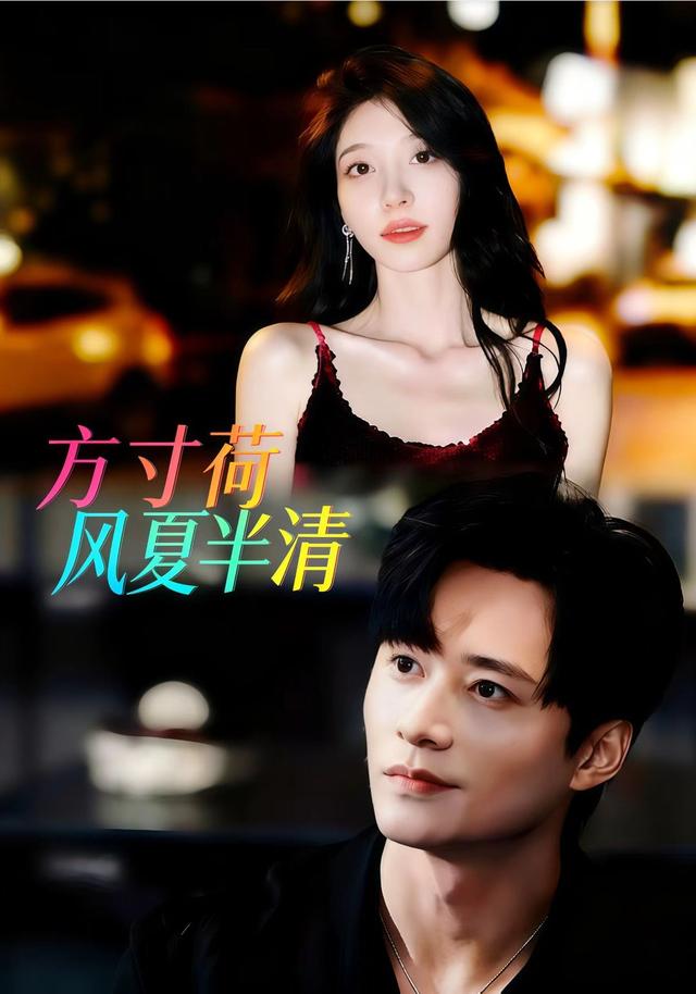方寸荷风夏半清封面图