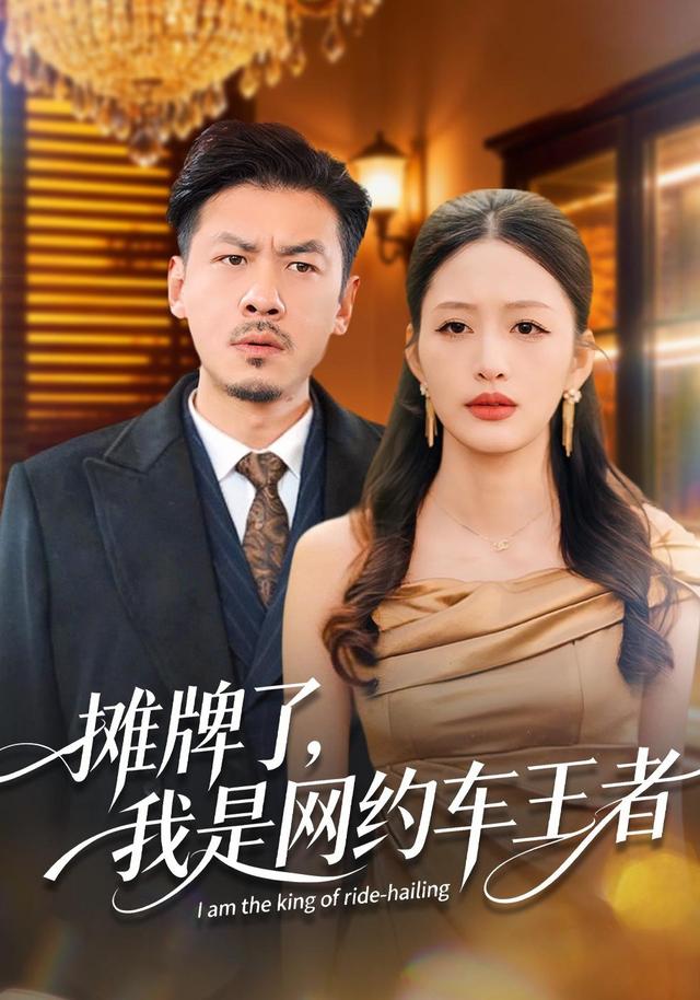 摊牌了，我是网约车王者封面图