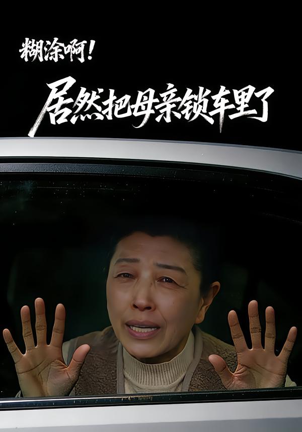 糊涂啊！居然把母亲锁车里了