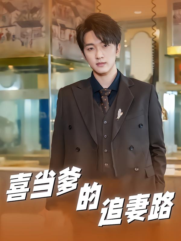 喜当爹的追妻路