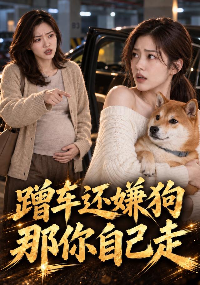 蹭车还嫌狗，那你自己走 cover