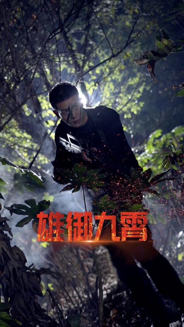 雄御九霄封面图