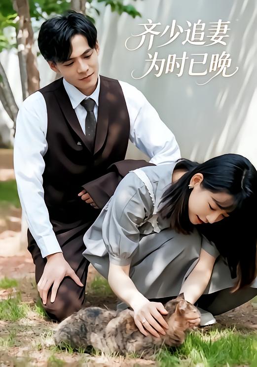齐少追妻为时已晚
