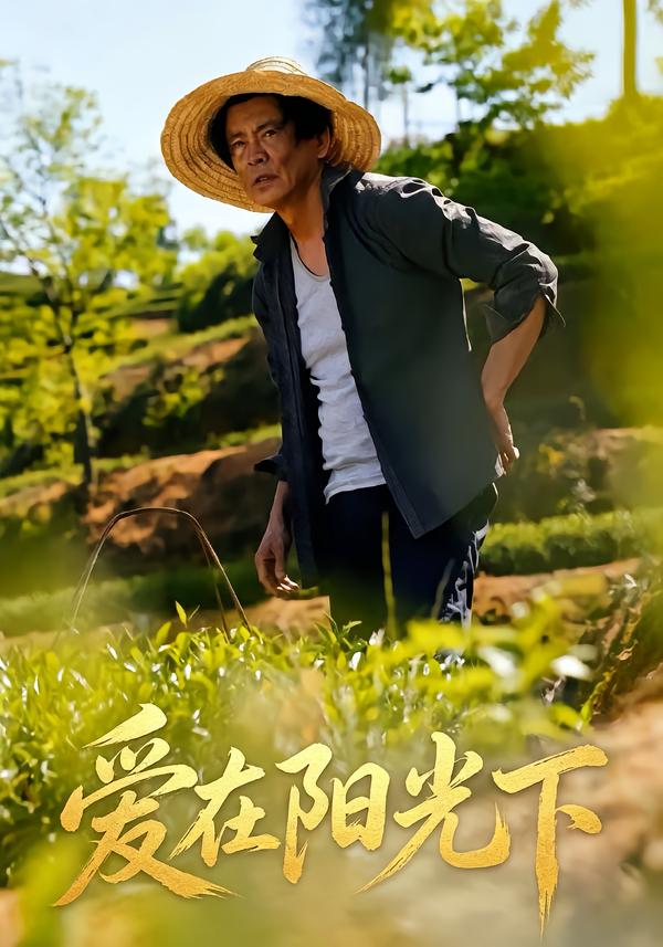 爱在阳光下