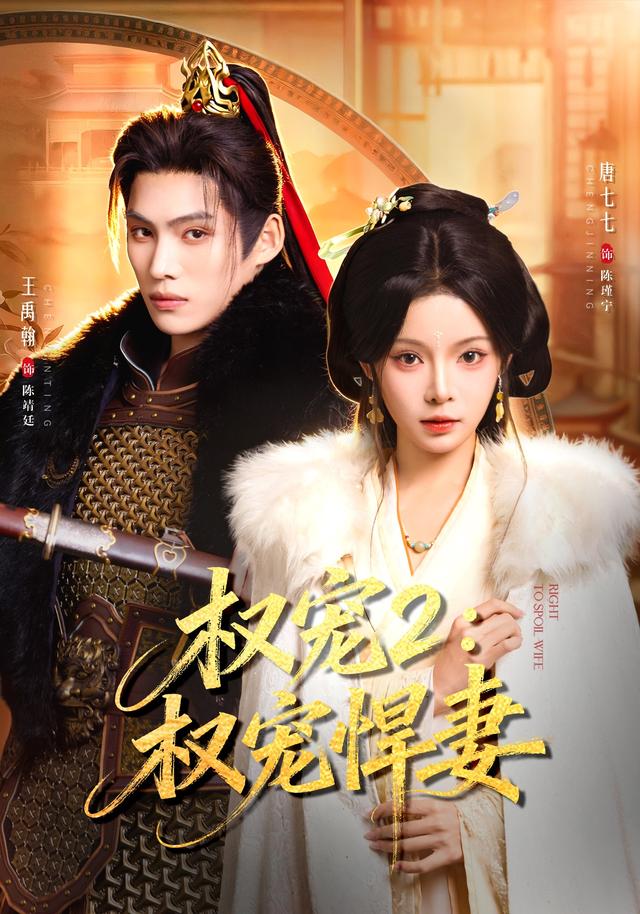 权宠2：权宠悍妻封面图