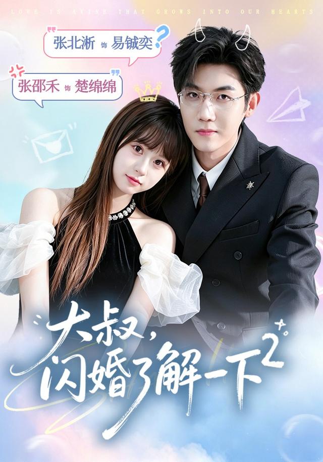 大叔，闪婚了解一下2封面