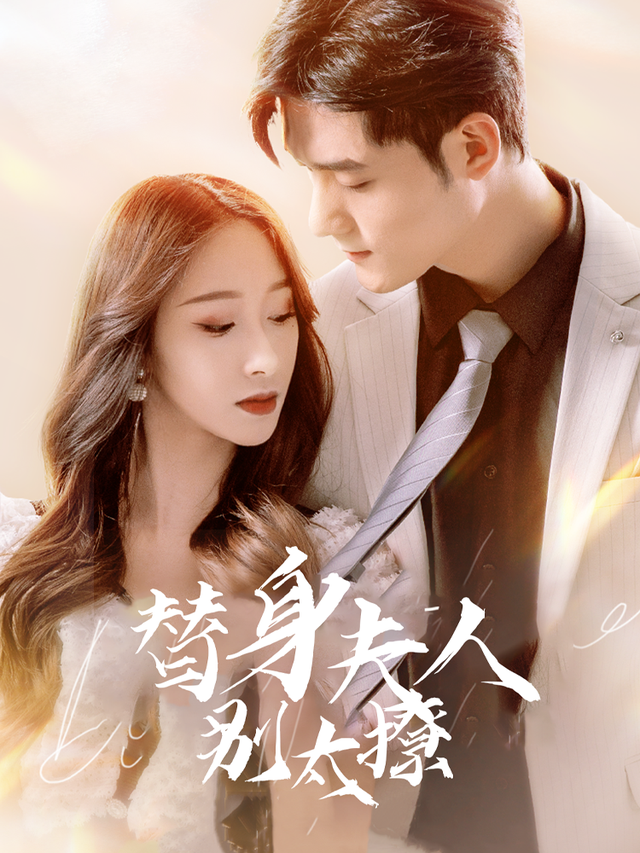 替身夫人别太撩封面图