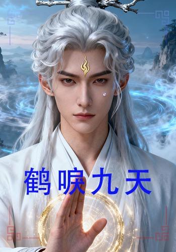 鹤唳九天封面图