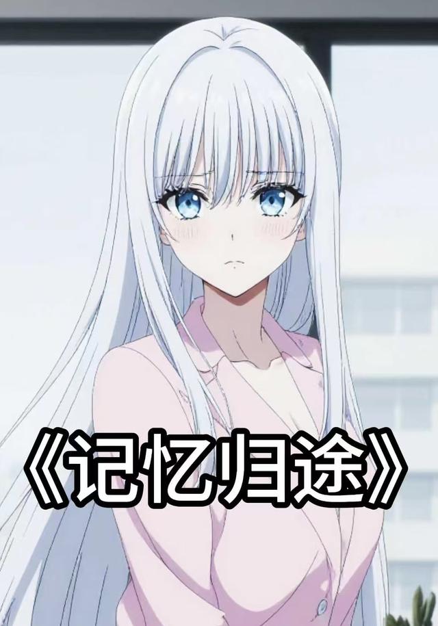 记忆归途封面图