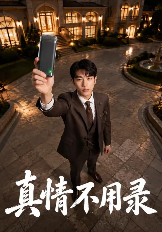 真情不用录 cover