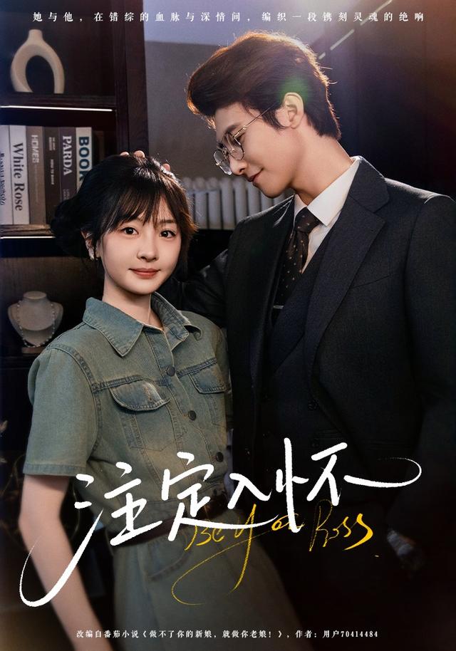 注定入怀封面图