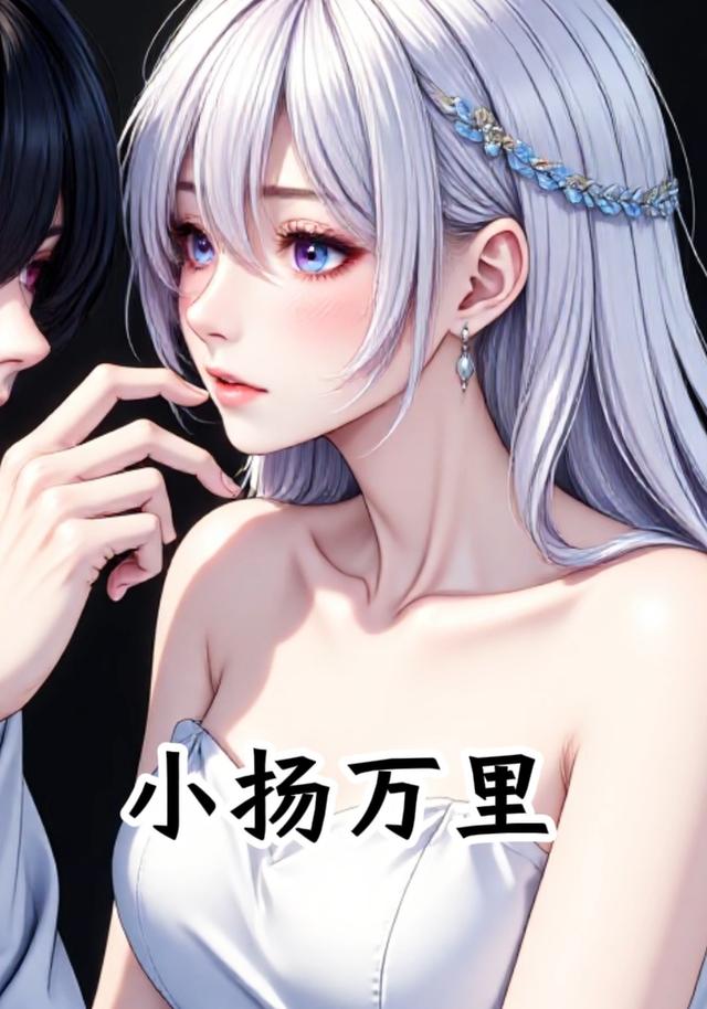 小扬万里封面图