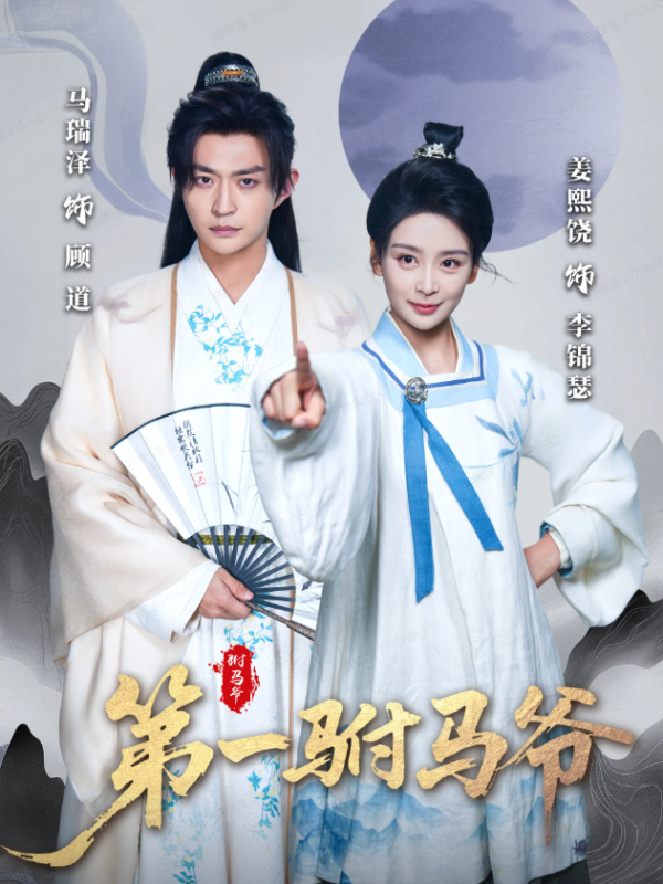 短剧第一驸马爷海报