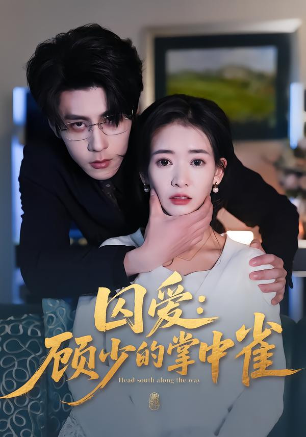 囚爱：顾少的掌中雀