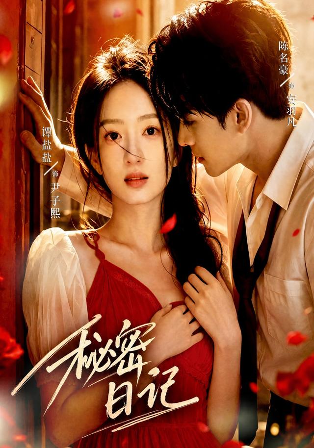 秘密日记 cover