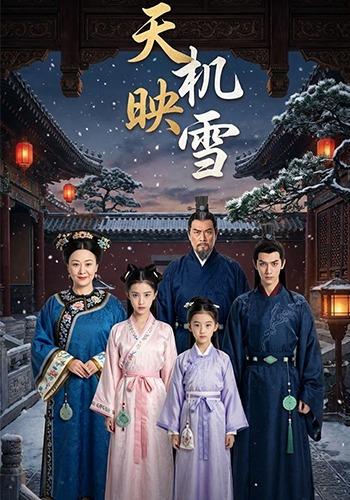 天机映雪封面图