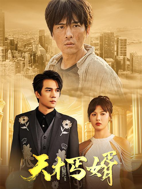 天才丐婿封面图