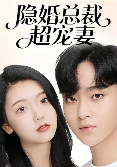 隐婚总裁超宠妻
